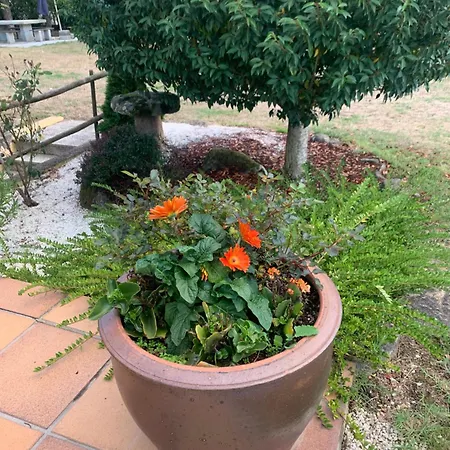 Holiday home A Portela - Pereiro De Aguiar Covas (Ourense)